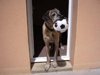 D'imyrrha - Des photos du Grand père de Iaguel à 8 ans 1/2 