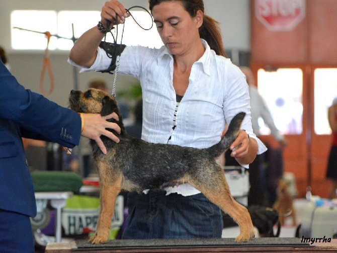 D'imyrrha - Résultat European Show Bruxelles