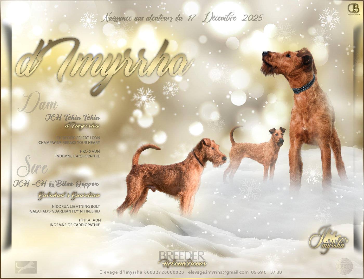 Bientôt des Bébés