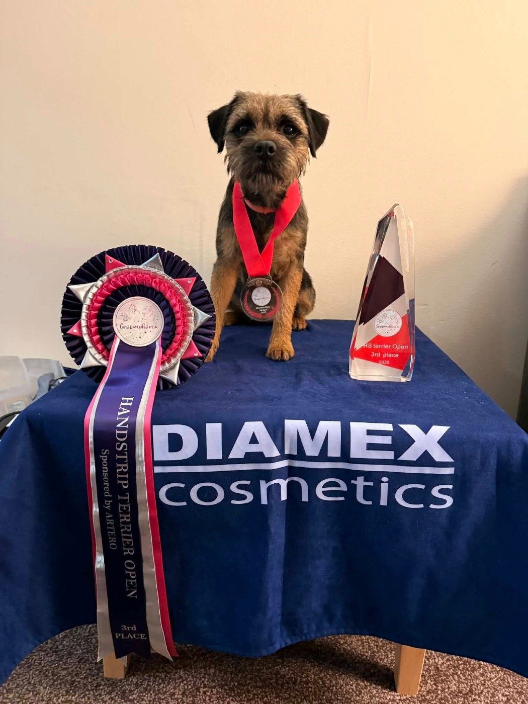 Jimenà a traversé la manche avec Emilie