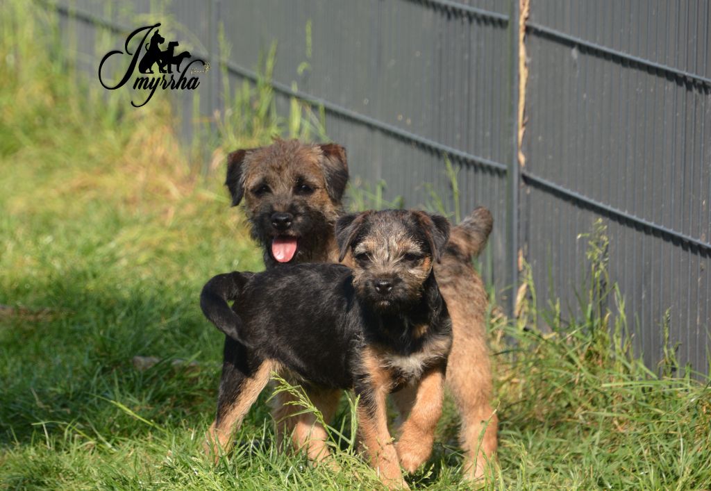 Notre petit Apache  recherche sa famille 