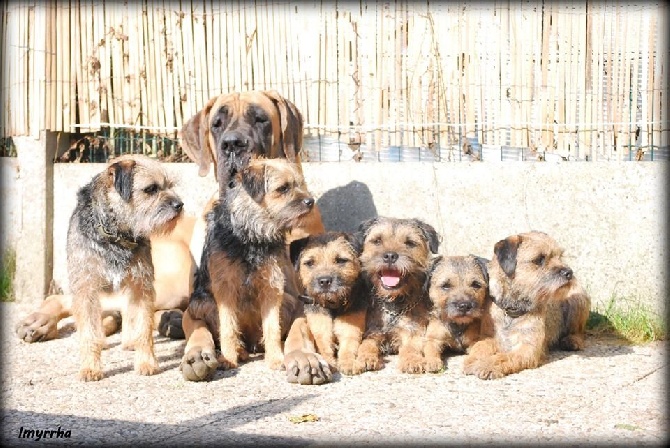 D'imyrrha - Une photo de Famille (septembre 2015 )