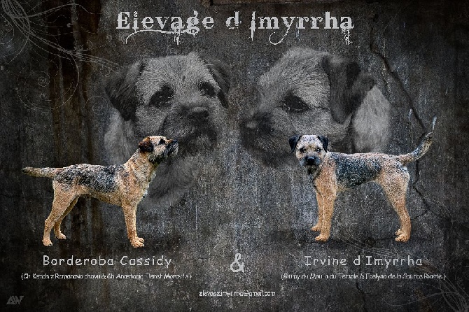 D'imyrrha - Irvine & Cassidy