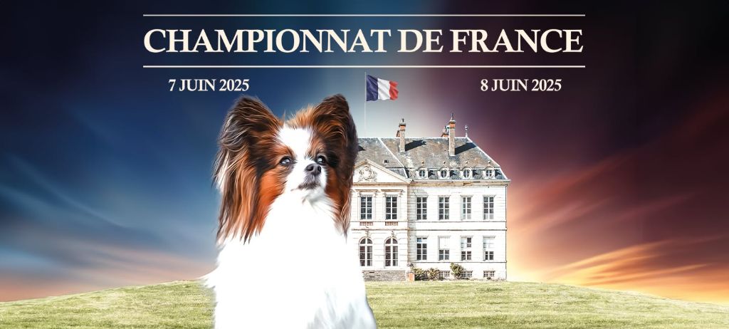 Nous serons présent au championnat de France 