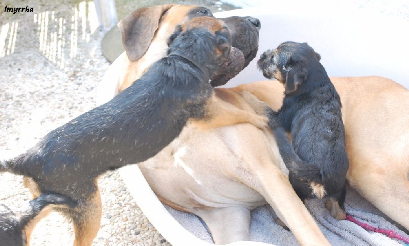 Les bébés de Irvine & Cassidy