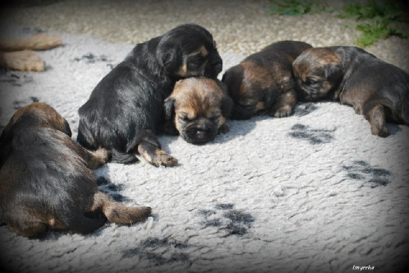 Les bébés à 16 jours