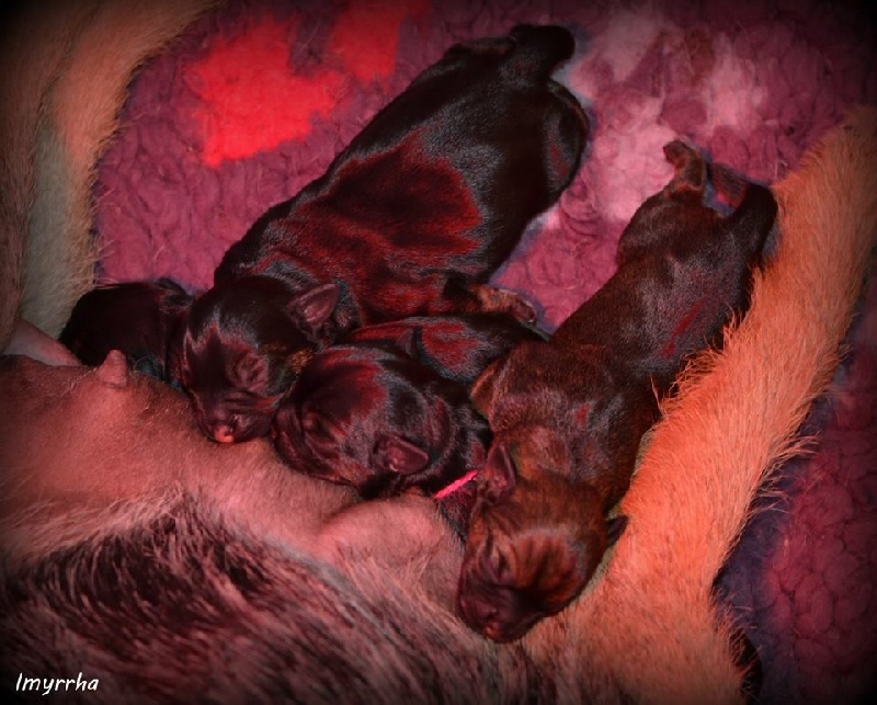 Les bébés de Lilly & Giumy 2014